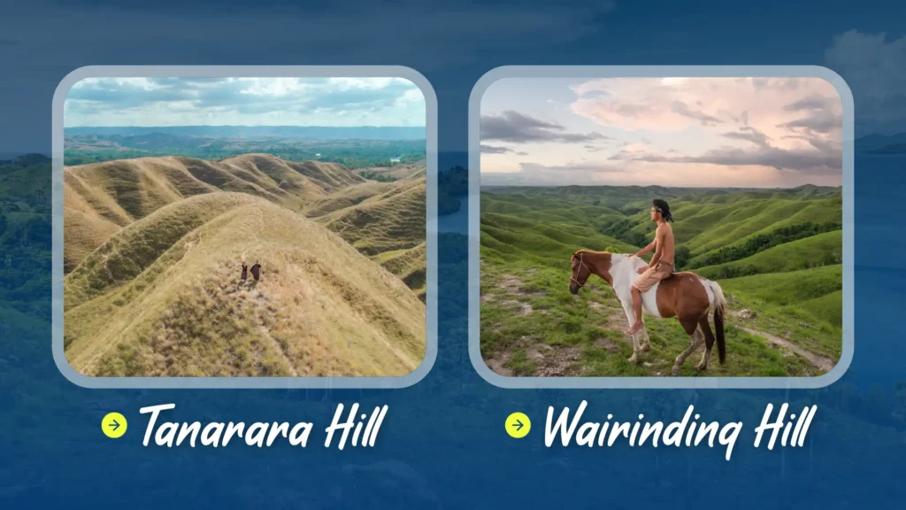 Tanarara Hill or Wairinding Hill | Sumba Tour | IndonesiaJuara Trip