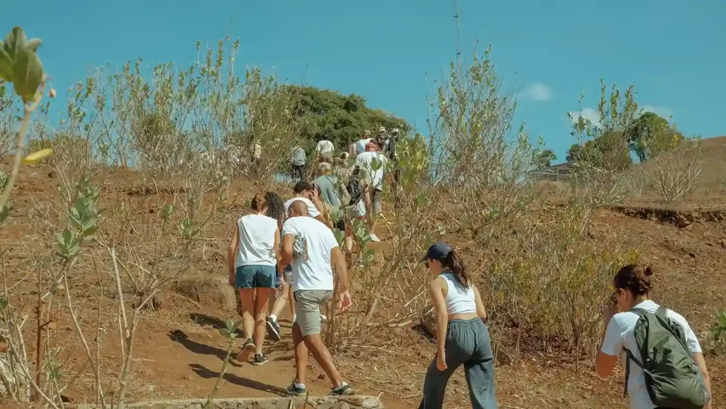 Trekking on Komodo Island | Labuan Bajo Tour | IndonesiaJuara Trip