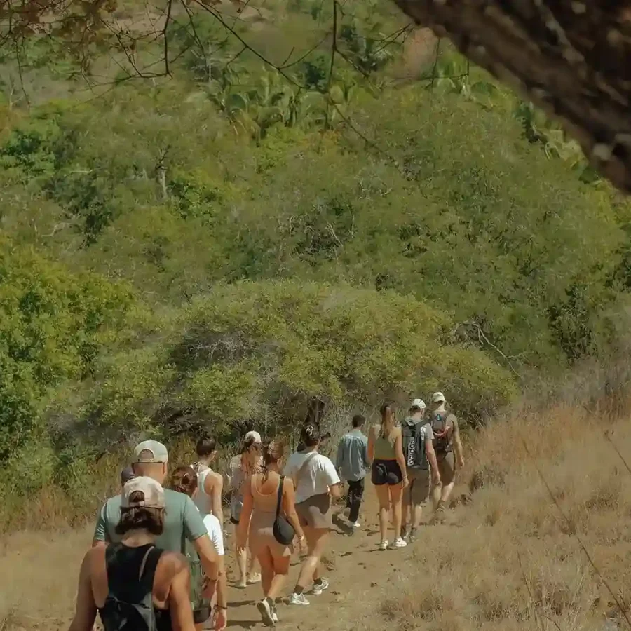 Trekking on Komodo Island | Labuan Bajo Tour | IndonesiaJuara Trip