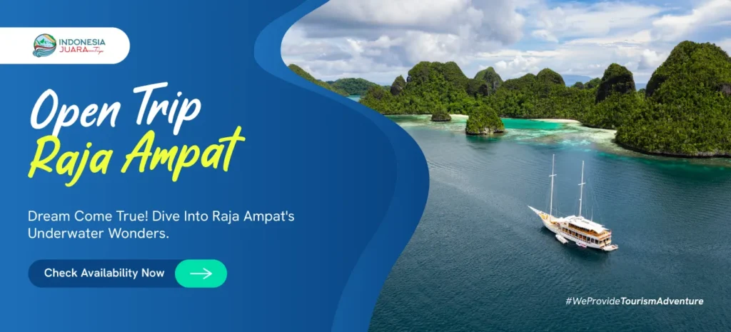 Banner Open Trip Raja Ampat | Raja Ampat Tour | IndonesiaJuara Trip