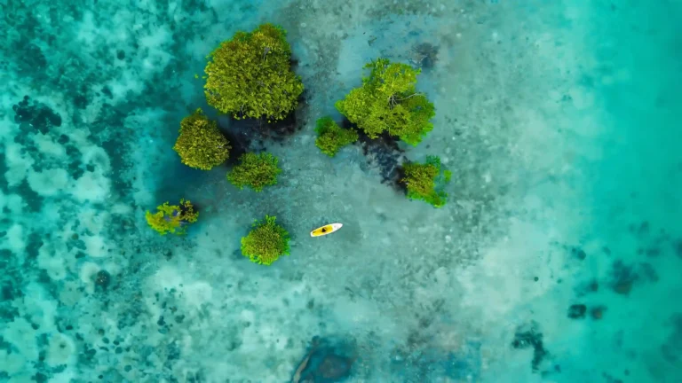 6 Tourist Activities in Luwuk Banggai You Must Try on Your Vacation