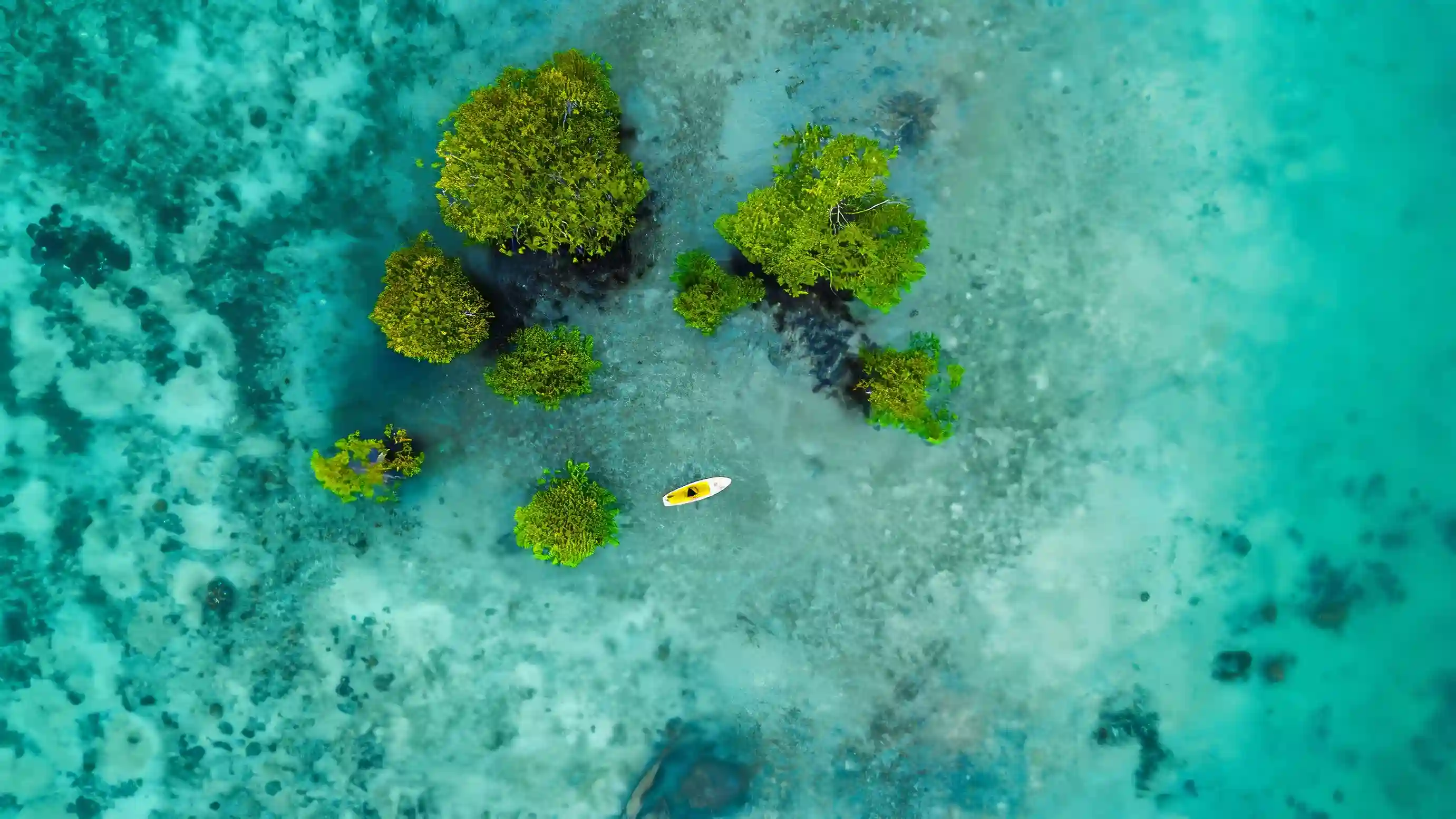 Luwuk Banggai | IndonesiaJuara Trip