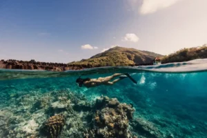 Snorkeling Open Trip Labuan Bajo | IndonesiaJuara Trip
