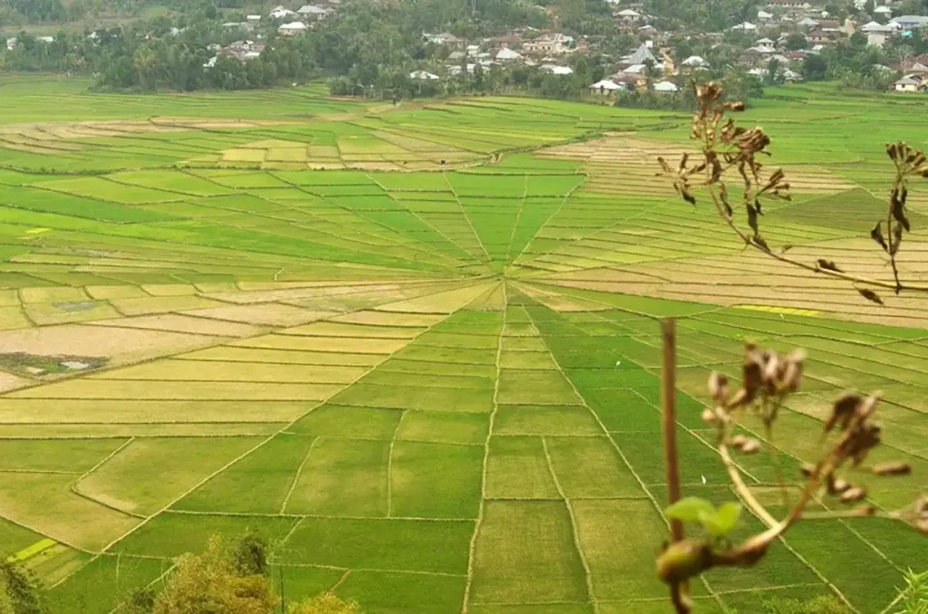 Cancar Rice Fields | Indonesia Juara Trip