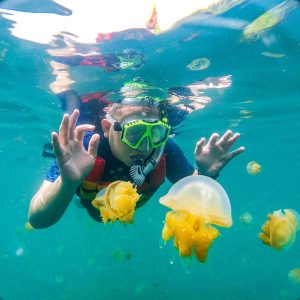 Tebing Kakaban Danau Ubur-Ubur