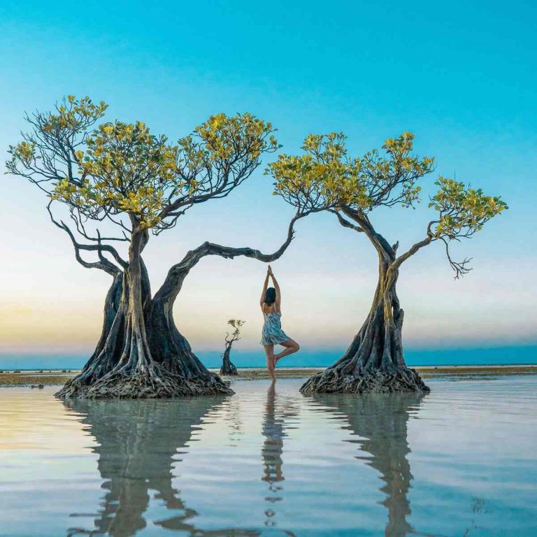 Panduan Wisata ke Sumba, Ketahui Harga Tiket dan Tipsnya di Sini!