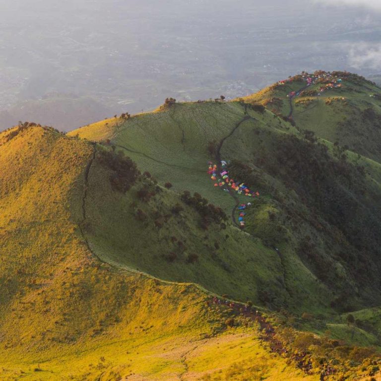 Rekomendasi 5 Bukit Teletubbies Terindah di Indonesia yang Wajib Dikunjungi
