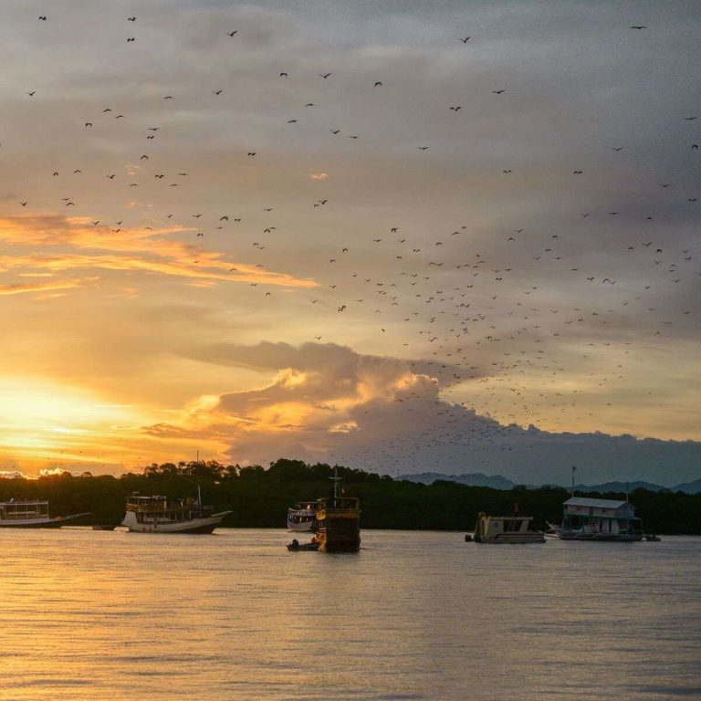 Liburan Unik ke Pulau Kalong, Langit Senja dan Kelelawar