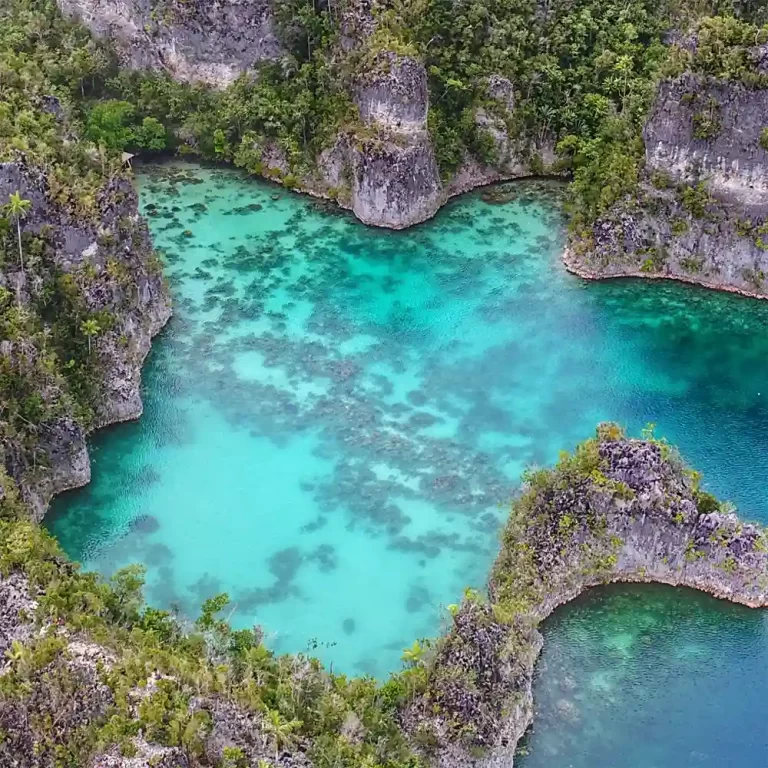 Apa yang Spesial dari Keindahan Alam Raja Ampat?