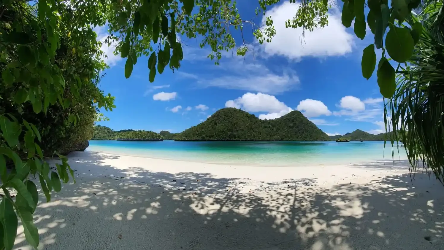 Rincian Biaya Liburan ke Raja Ampat 2027: Cek Estimasi Budgetnya di Sini!