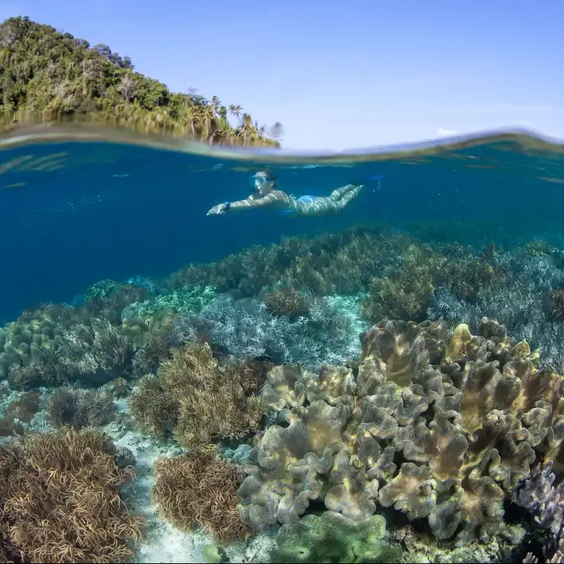 Raja Ampat