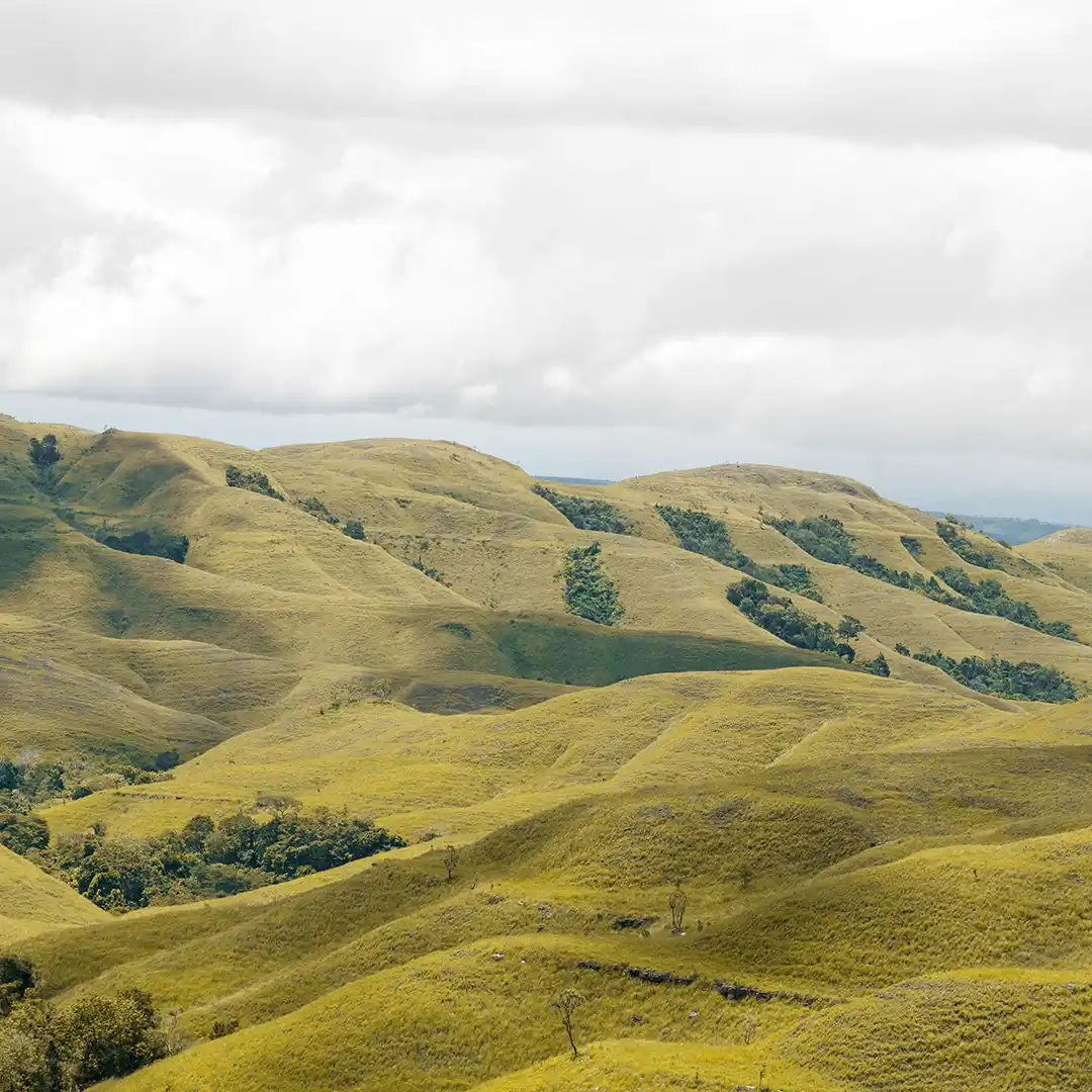 bukit warinding