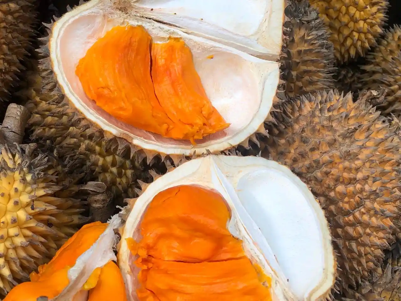Makanan khas Berau, Buah Elai bagi pecinta durian
