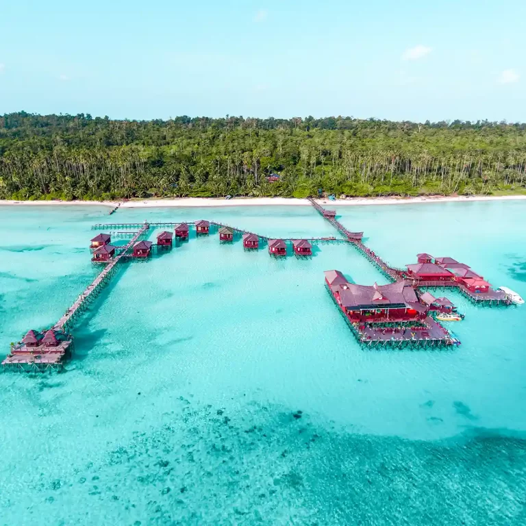 Spot diving di Maratua, Surga-nya Biota Laut Indonesia