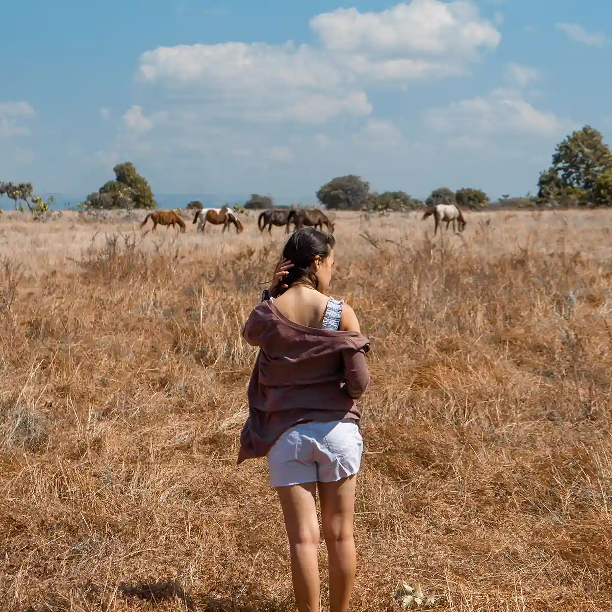 Savana Puru Kambera