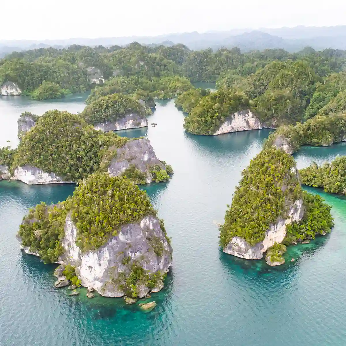 fasilitas liburan di raja ampat