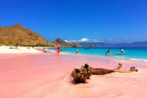 pink beach lombok