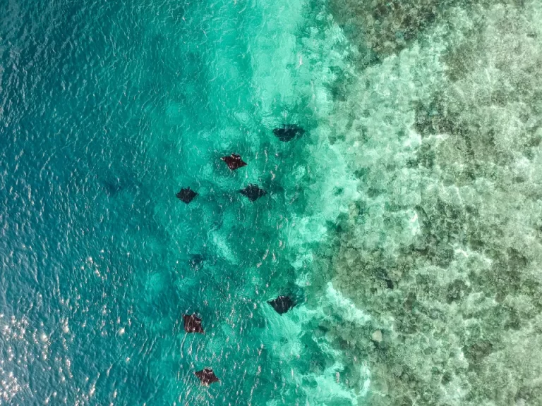 2 Cara ke Labuan Bajo dari Makassar yang Perlu Kamu Ketahui