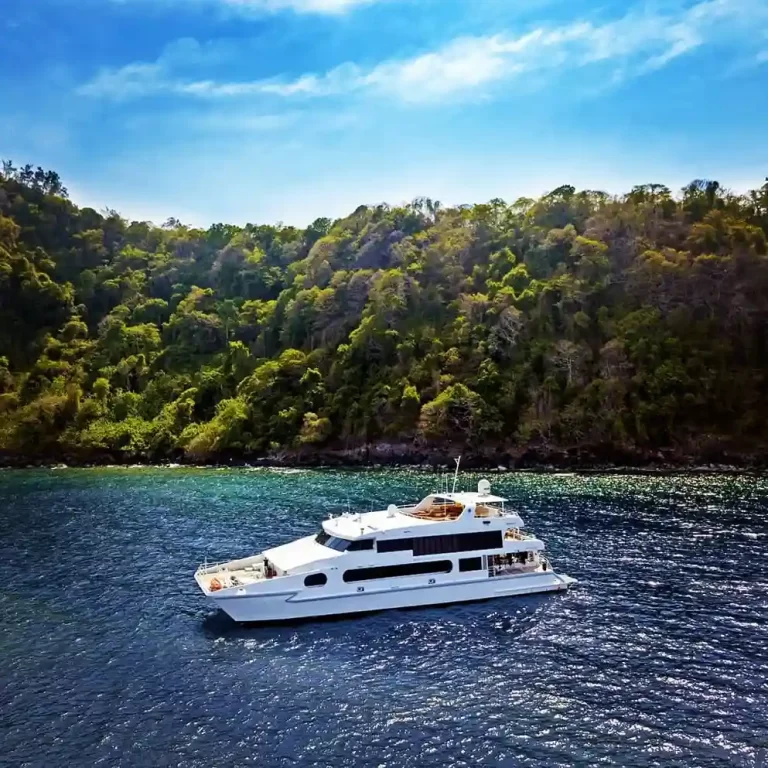 Daftar Kapal Liveaboard di Raja Ampat by Indonesia Juara