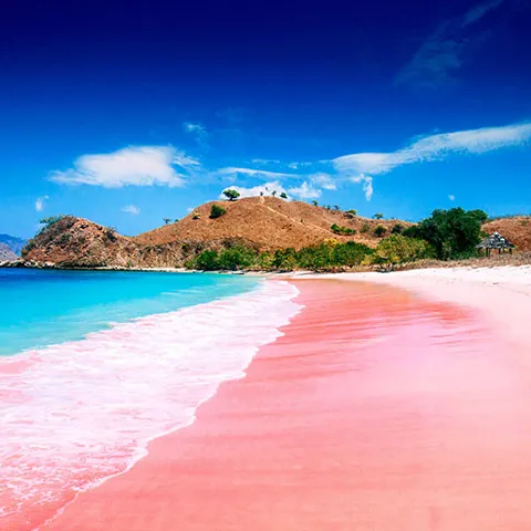 Pink Beach di Indonesia