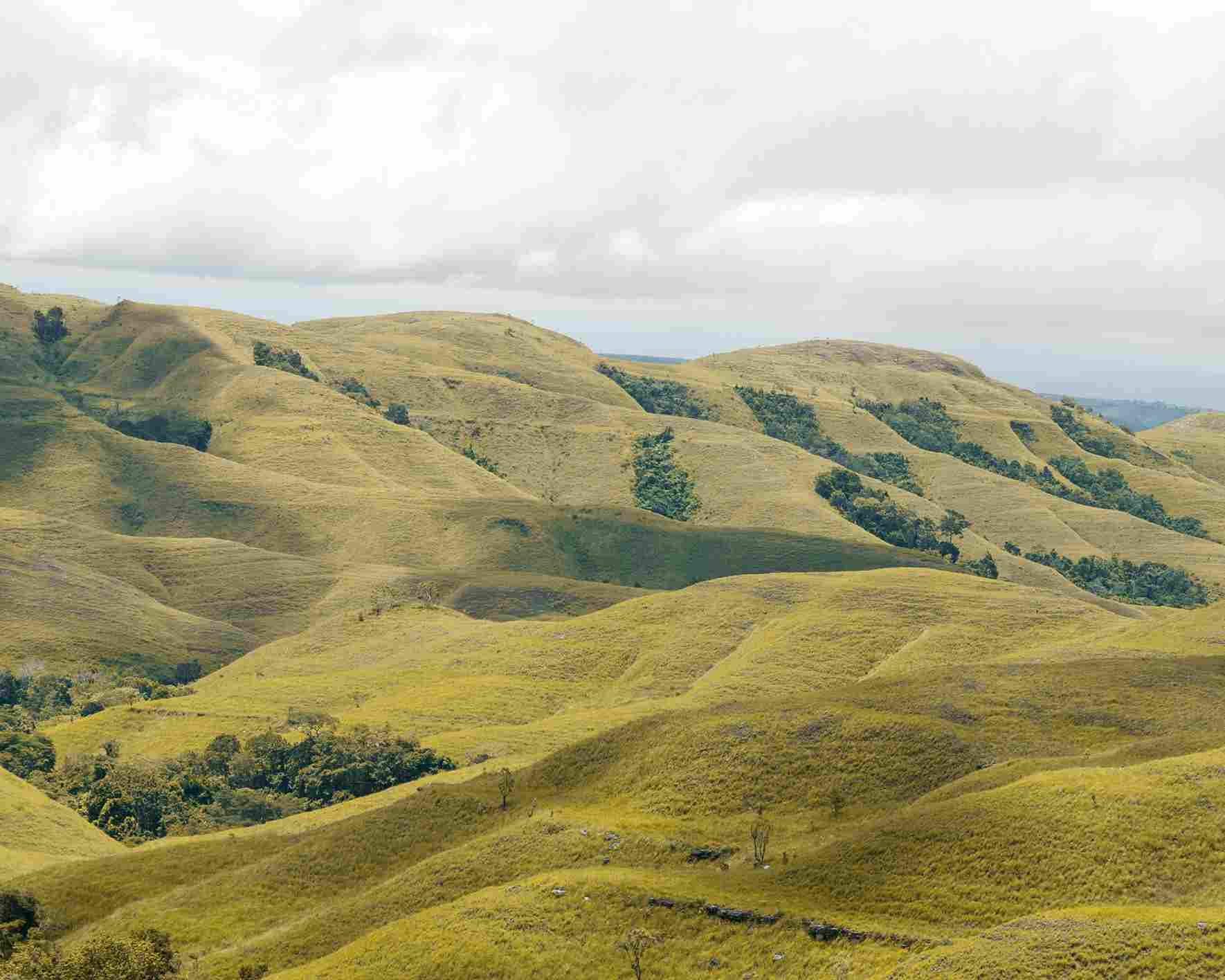 Bukit Warinding Sumba