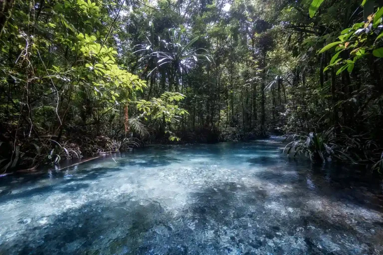 Pesona Kalibiru Raja Ampat: Permata Tersembunyi di Hutan Papua!