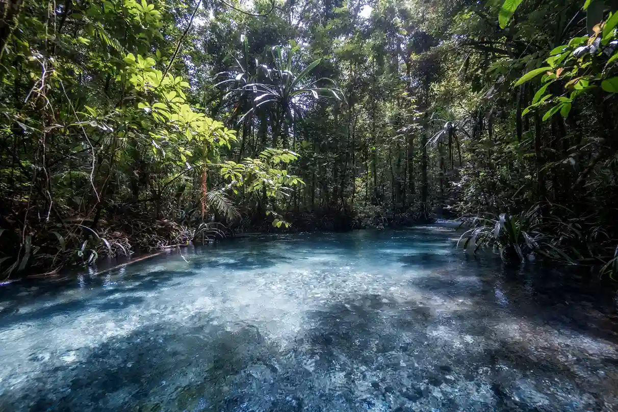 Kalibiru Raja Ampat