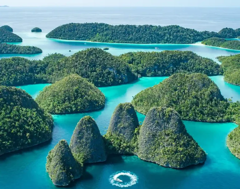 Intip Pesona Ikonik Pulau Wayag Raja Ampat di Sini!