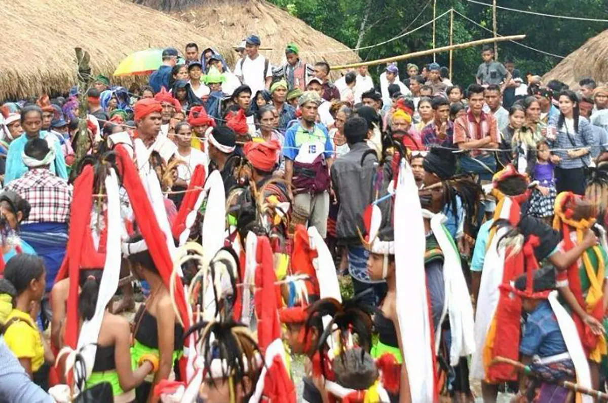 Festival Wai Humba