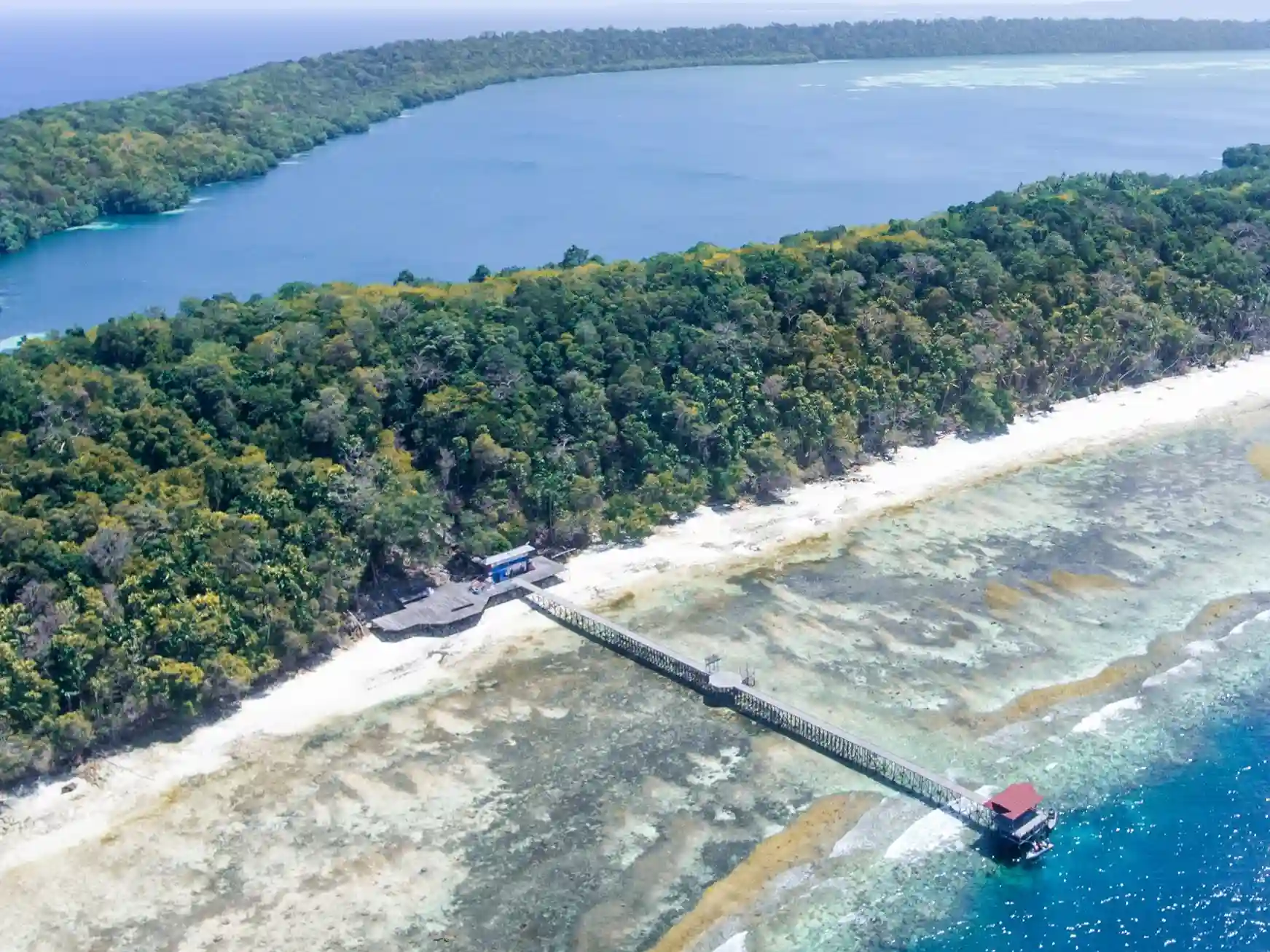 cara dari bali ke derawan