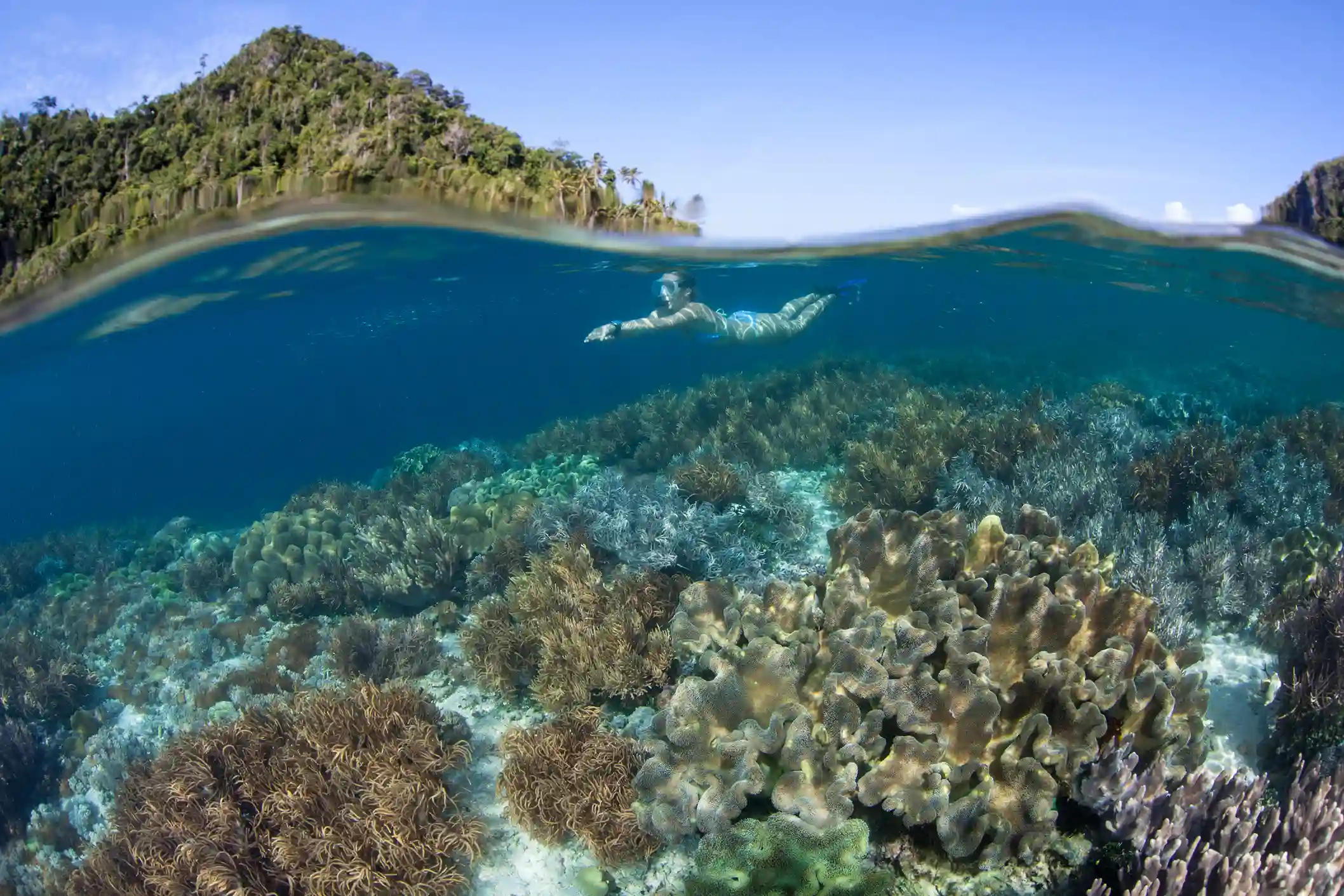 Pulau Sebayur Labuan Bajo - IndonesiaJuara Trip