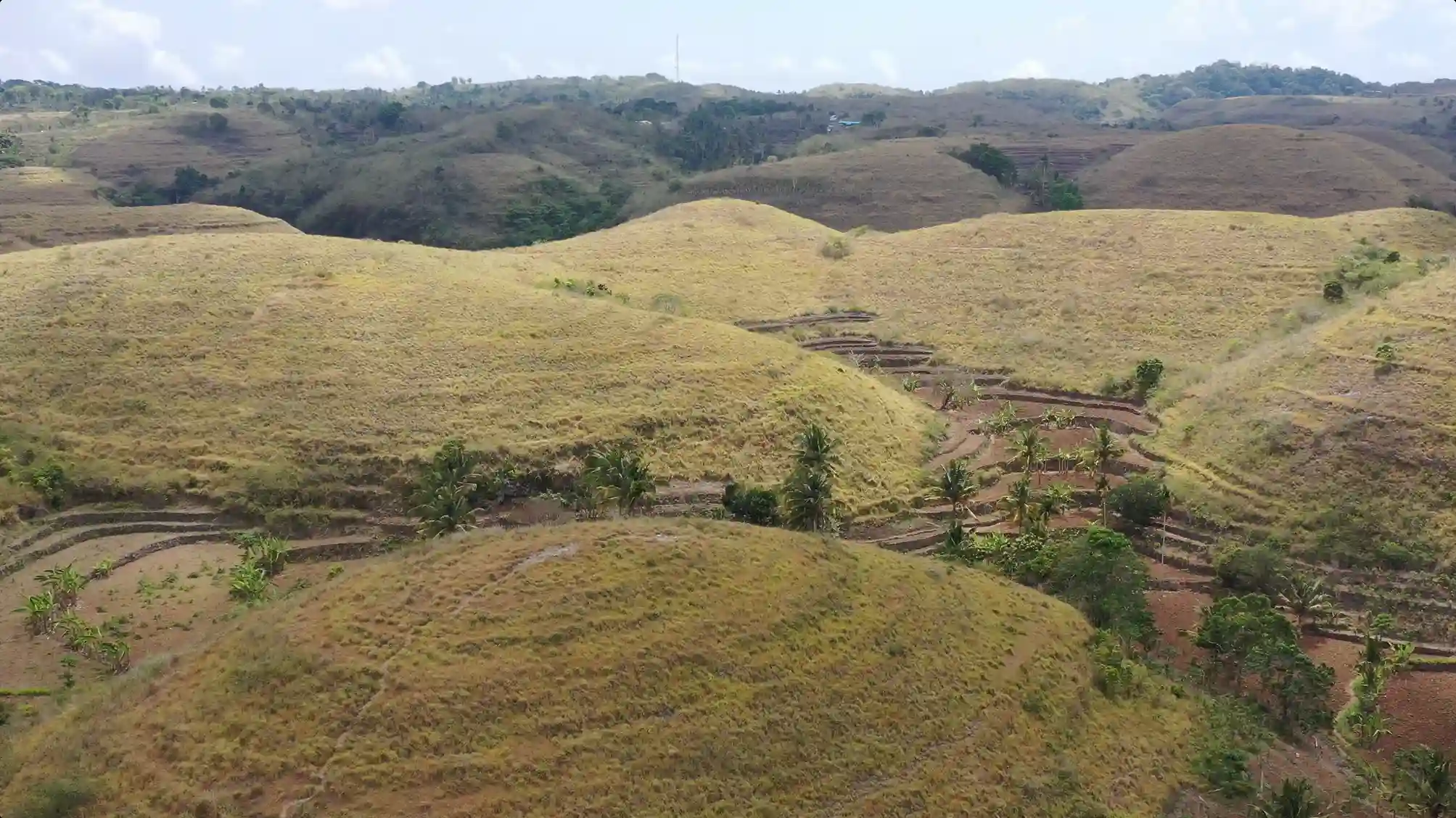 Bukit Teletubbies Nusa Penida