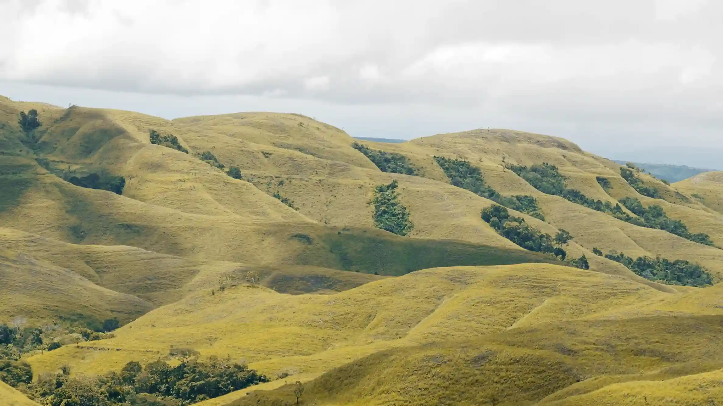 Bukit Wairinding Sumba Timur