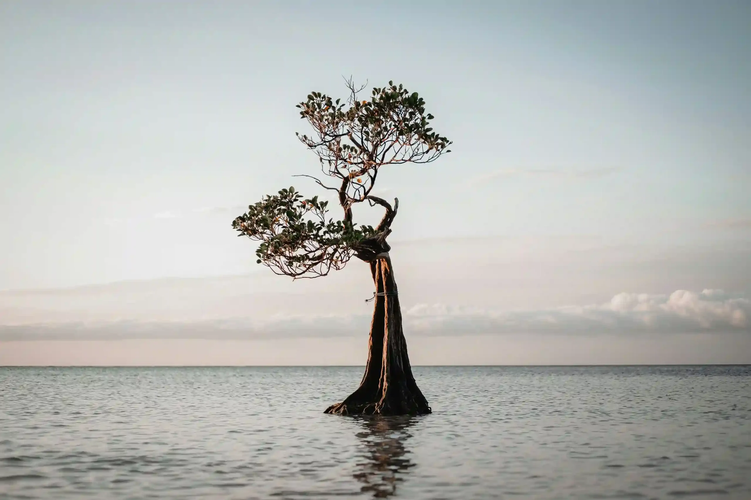 Pantai Walakiri - Pantai Sumba Timur - IndonesiaJuara Trip