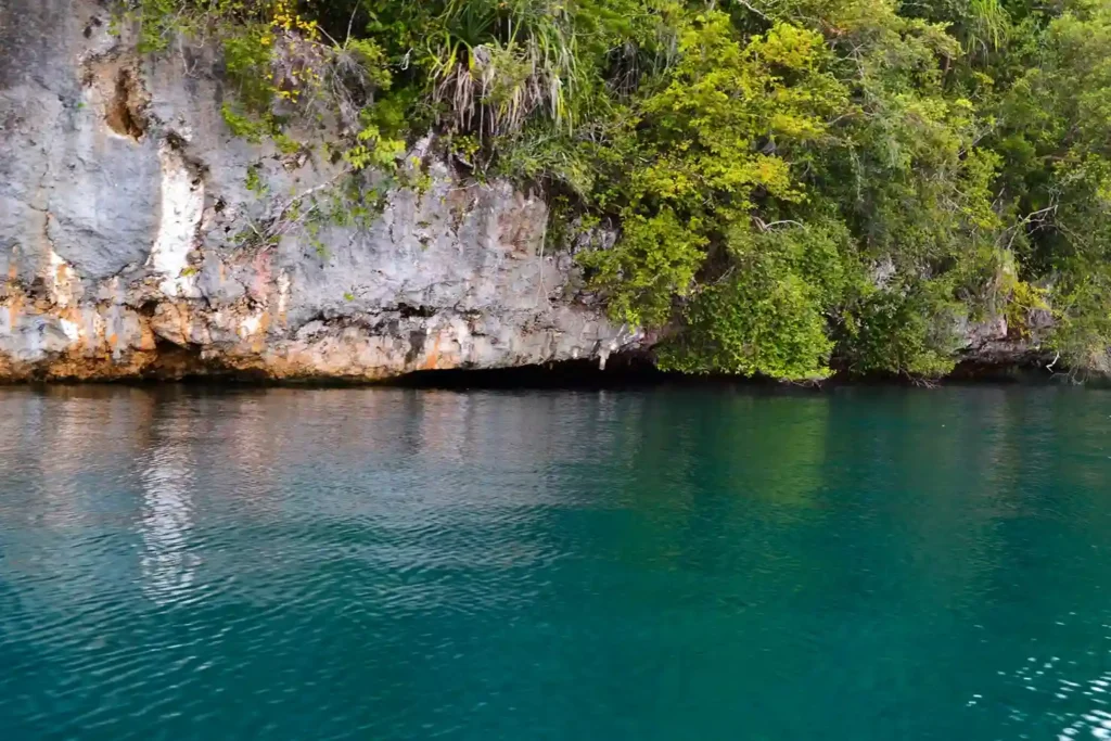 Perairan Jernih Raja Ampat - source unsplash