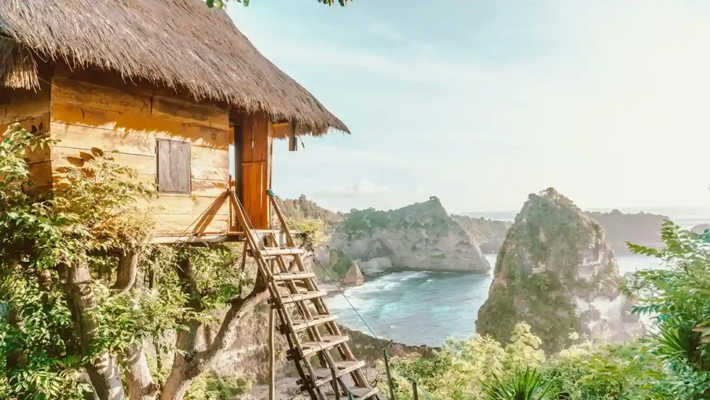 Rumah Pohon Nusa Penida - source unsplash