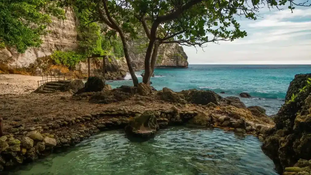 Tembeling Beach and Forest Nusa Penida - Source Digital Travel Couple