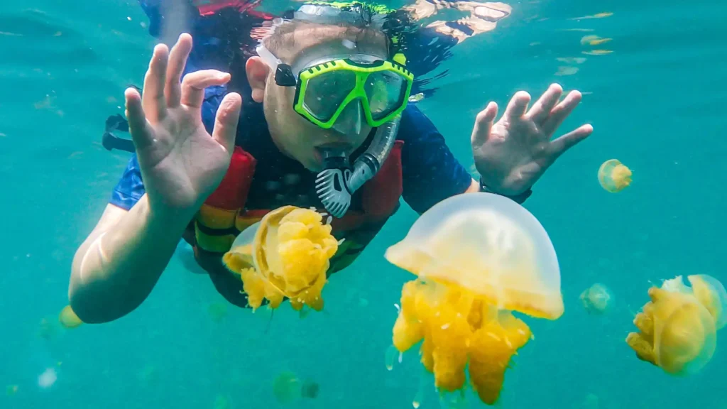 Danau Kakaban Derawan - IndonesiaJuara Trip