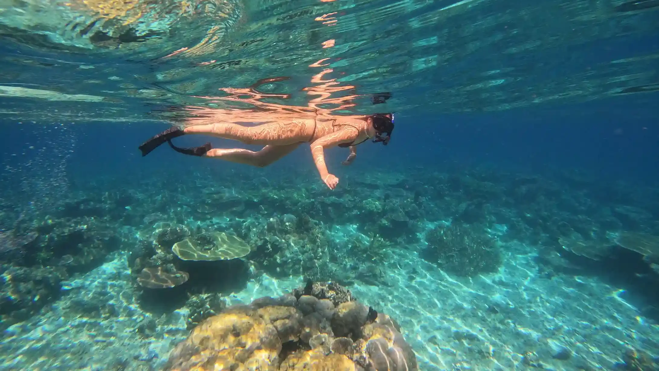 Snorkeling in Labuan Bajo | Taman Nasional Komodo | Indonesia Juara Trip