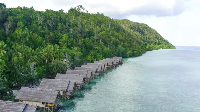 Mengintip Pesona Alam dan Kehidupan Tradisional di Kampung Sauwandarek Raja Ampat