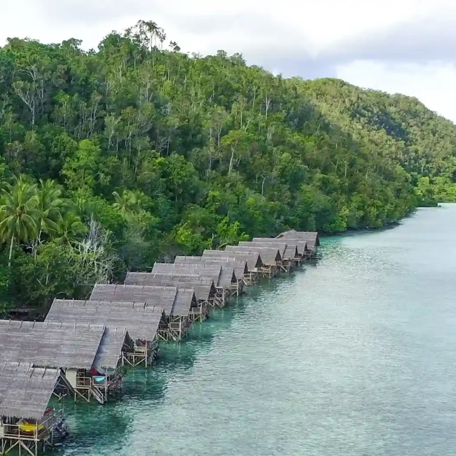 Desa Sauwandarek Raja Ampat