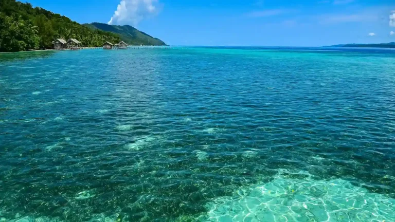 Berkunjung ke Waisai: Tempat Dimana Petualangan Raja Ampat Dimulai