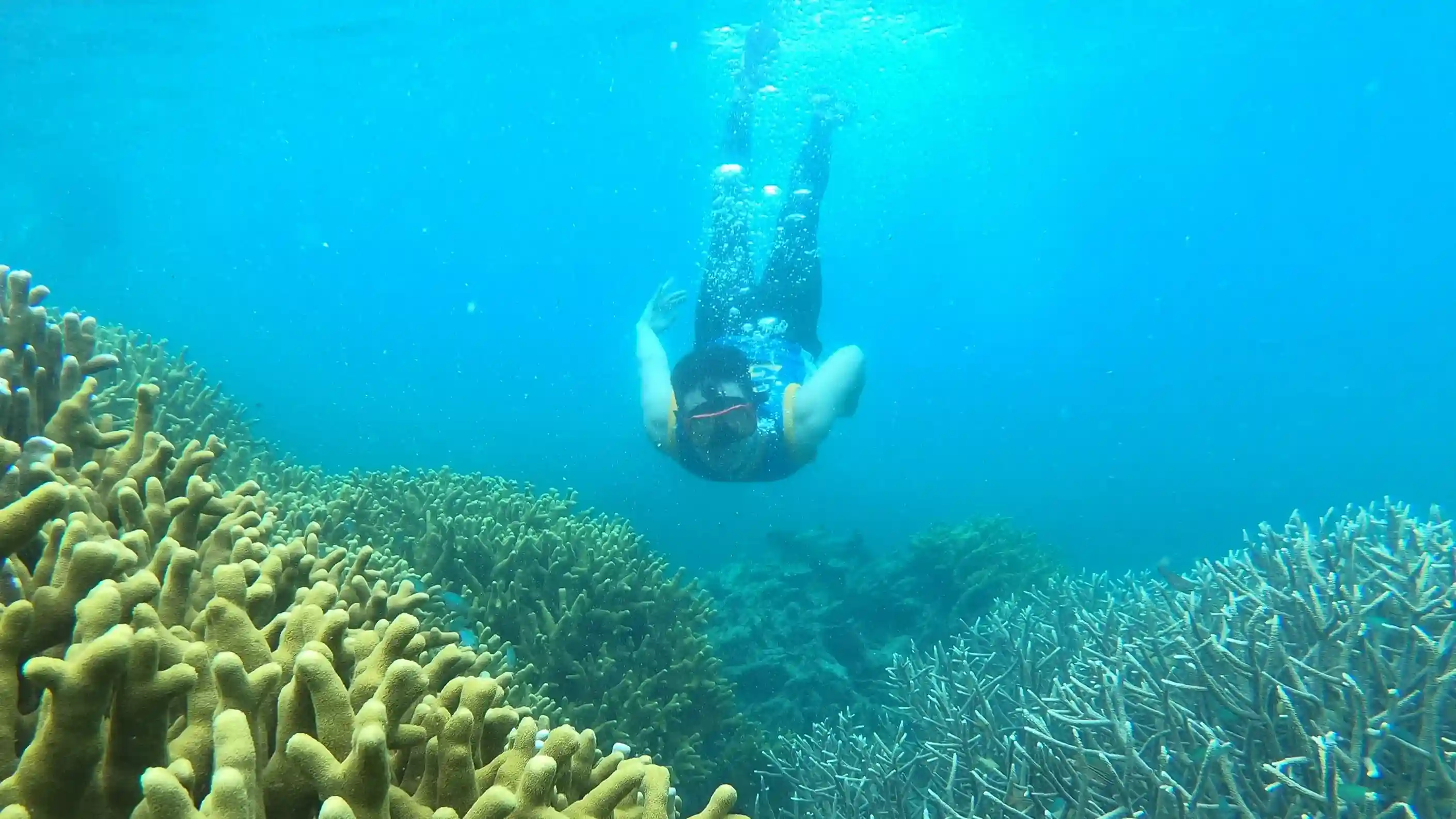 Sauwandarek Raja Ampat | Diving | IndonesiaJuara Trip