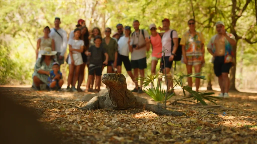 Open Trip Labuan Bajo Komodo