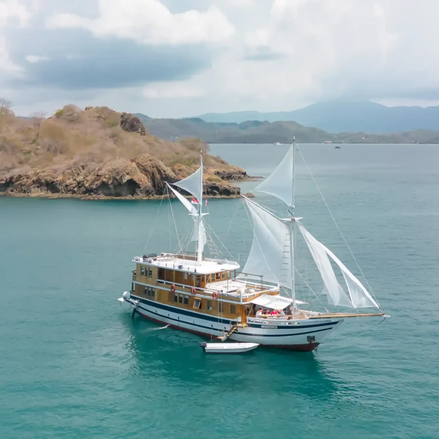 Sewa Kapal Catnazse Liveaboard Phinisi | Labuan Bajo Tour | Komodo Tour | Indonesia Juara Trip