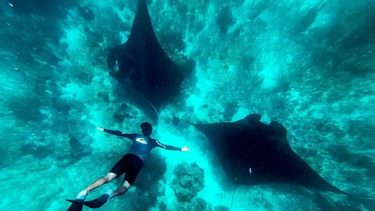 Manta Point | Nusa Penida | IndonesiaJuara Trip 