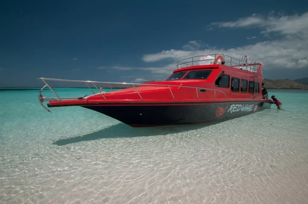 Red Whale Speedboat | IndonesiaJuara Trip