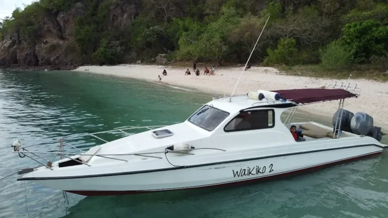 Berapa Harga Sewa Speedboat di Labuan Bajo? Simak Detailnya di Sini!