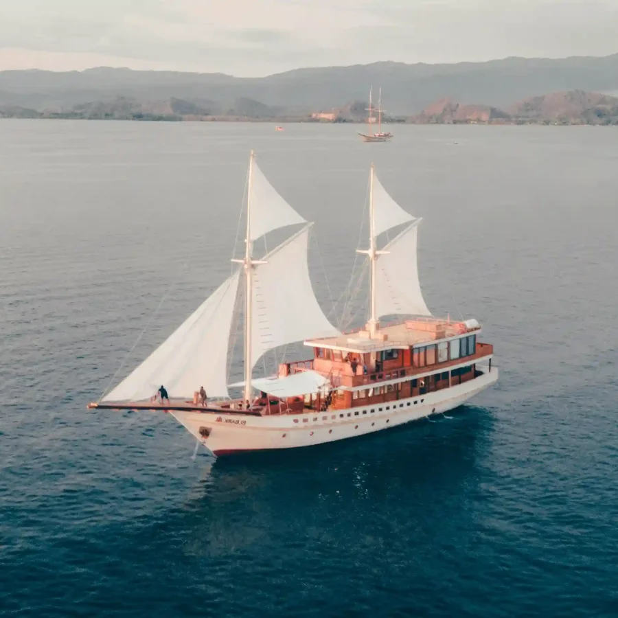 Elbark Cruise Phinisi | Tip Labuan bajo | Komodo island Trip | Indonesia Juara Trip