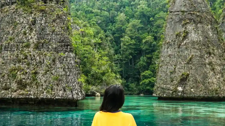 Berapa Harga Private Trip Raja Ampat? Simak Detailnya Di Sini!